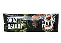 Zubr - Okaz Natury